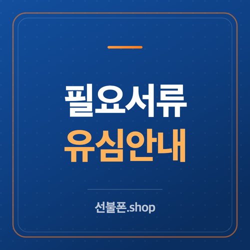 개통 필요 서류·유심